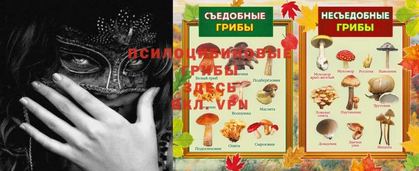 MDMA Premium VHQ Абдулино