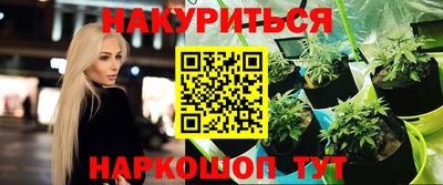 spice Заводоуковск
