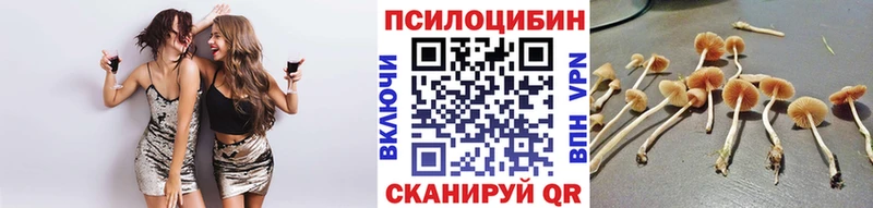 Галлюциногенные грибы ЛСД  цены наркотик  kraken маркетплейс  Ливны 