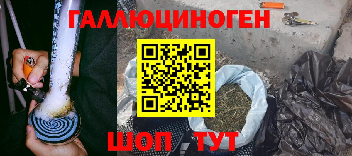 Псилоцибиновые грибы Psilocybine cubensis Ливны